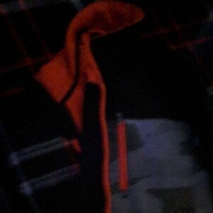 Boys Mountain Expedition Coat Size L 10/12